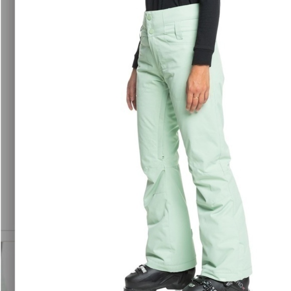 NEW Roxy diversion snowboard/ ski pants